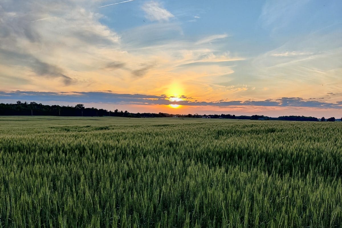 Wednesday, January 29, 2025, 6:35 a.m.